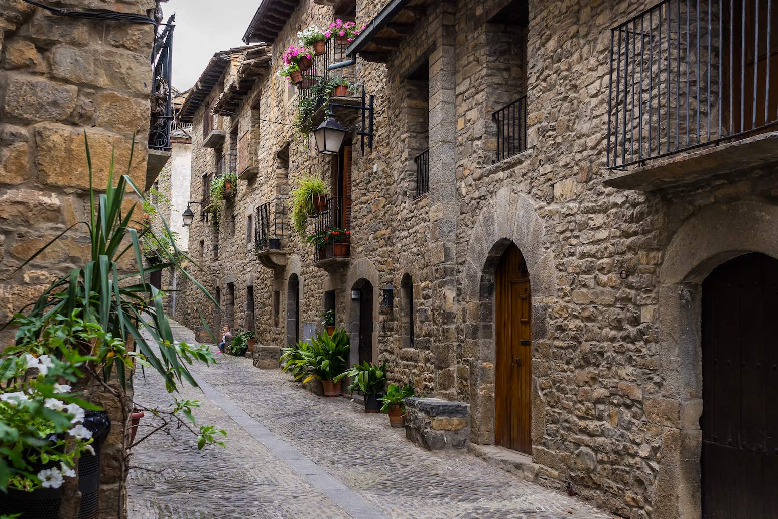 viaje a Pirineos de españa mayores de 55